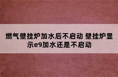 燃气壁挂炉加水后不启动 壁挂炉显示e9加水还是不启动